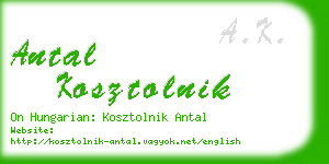 antal kosztolnik business card